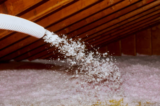 Best Commercial Insulation in Wtmore Village, HI