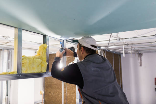 Best Cellulose Insulation in Wtmore Village, HI